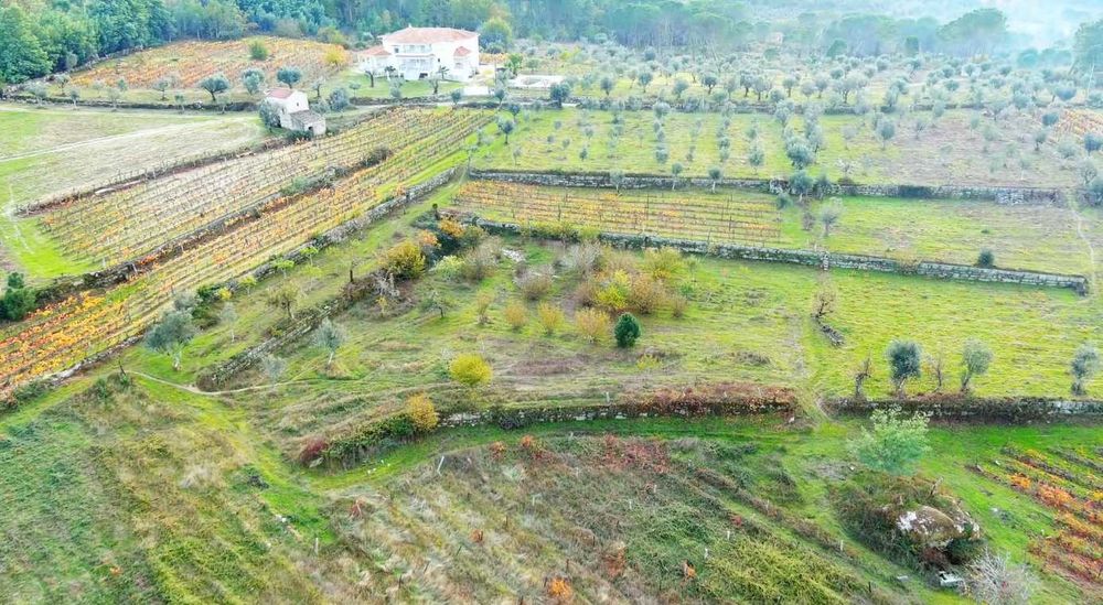 Quinta com Moradia T4 com possibilidade T5, Piscina, Vinha e 10,2 ha Região do Dão – Serra da Estrela