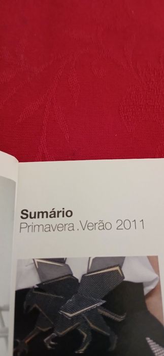Revista Penteados Moda  - Raquel Strada