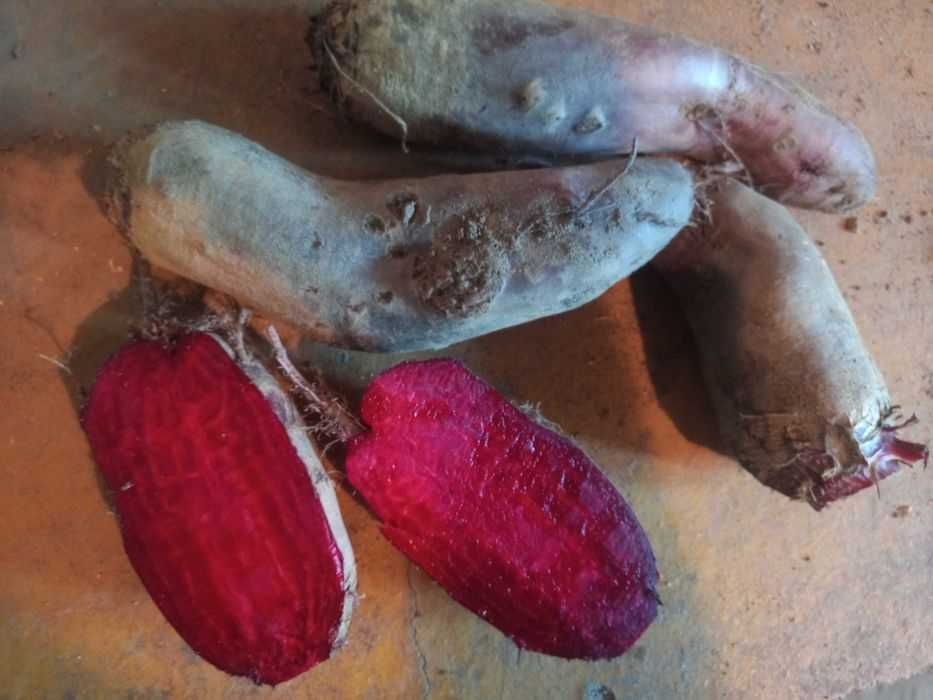 Sprzedam swojskie warzywa