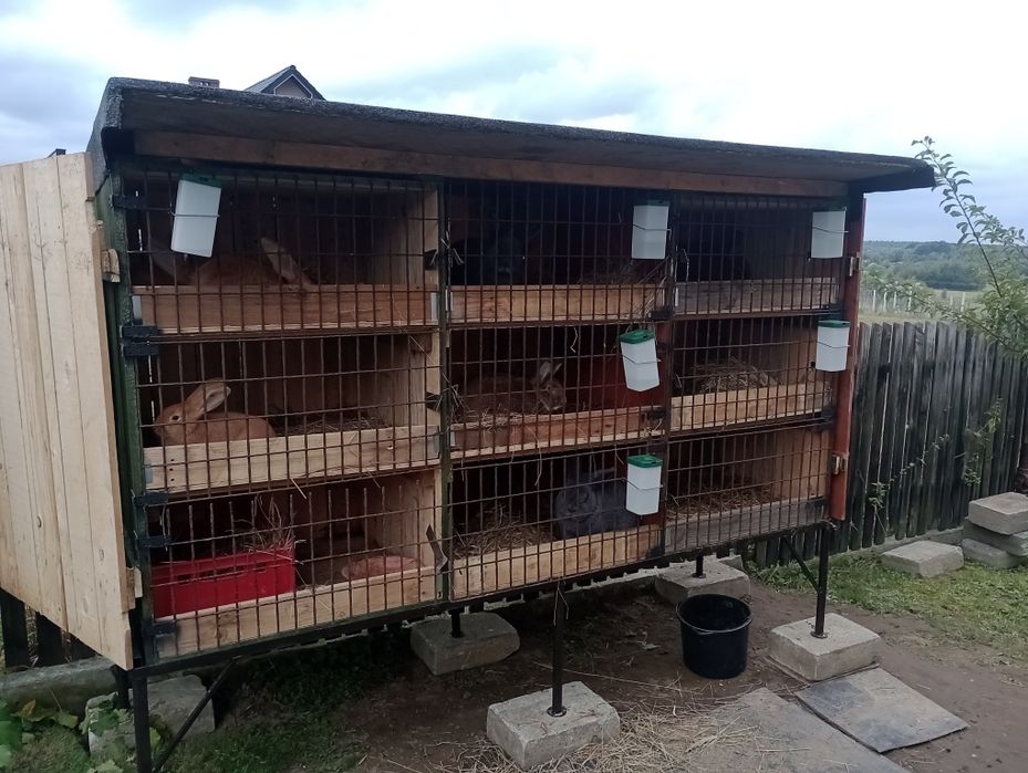 Króliczok,pojemnik na zboże, wędzarnik,buda do psa