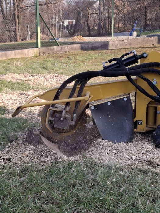 Frezowanie pni drzew