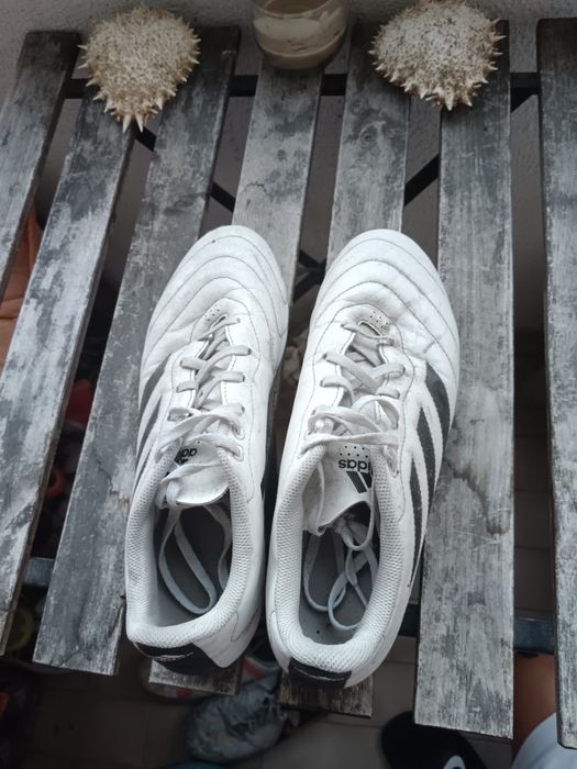 Chuteiras adidas 44