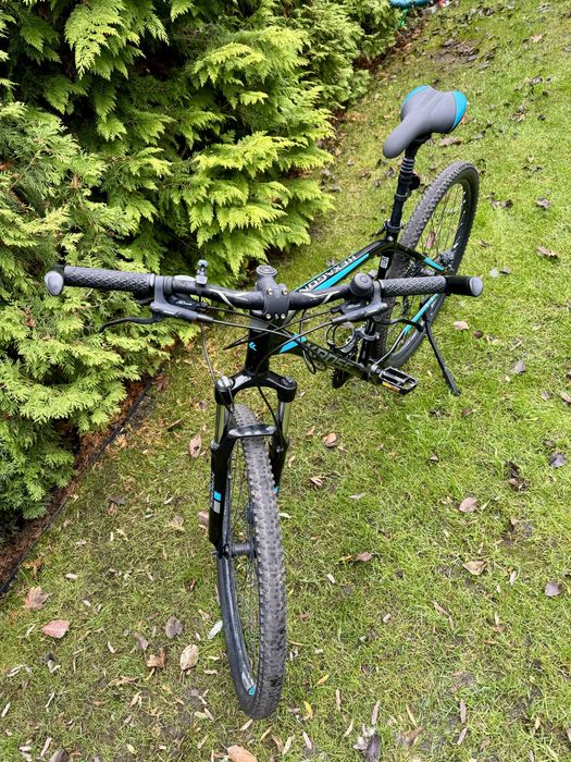 Rower Kross Haxagon 7.0