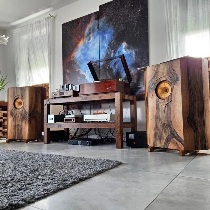 Super Aero Rullit 9” odgrody open baffle Unikat PSUs  tube Andrejs