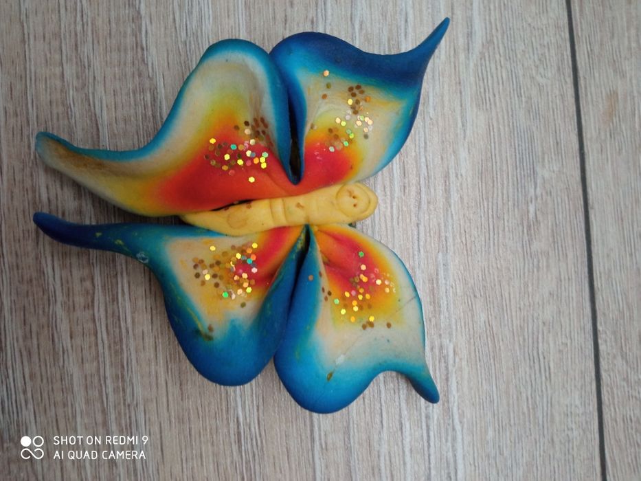 Magnes motyl kolorowy