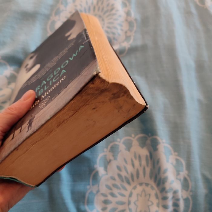 Szmaragdowa tablica Carla Montero