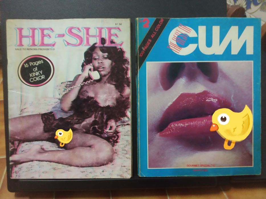 Lote de 16 Revistas p/ adultos (eróticas)