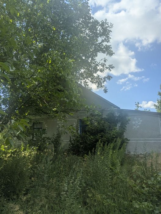 Продам будинок в мальовничому селі