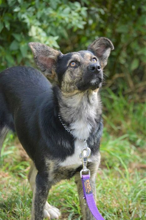 Żabcia - czas na dom!