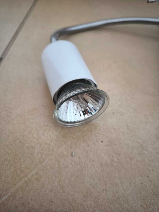 Lampada Aquecimento Tartaruga Repteis