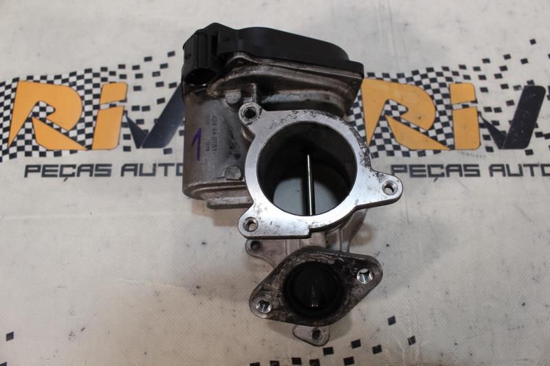 Válvula EGR AUDI A4 (8EC, B7)