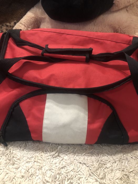 Сумка дорожня в гарному стані