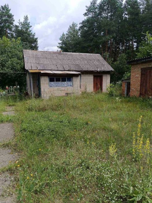 Продається будинок в с. Лютенька, Гадяцького району