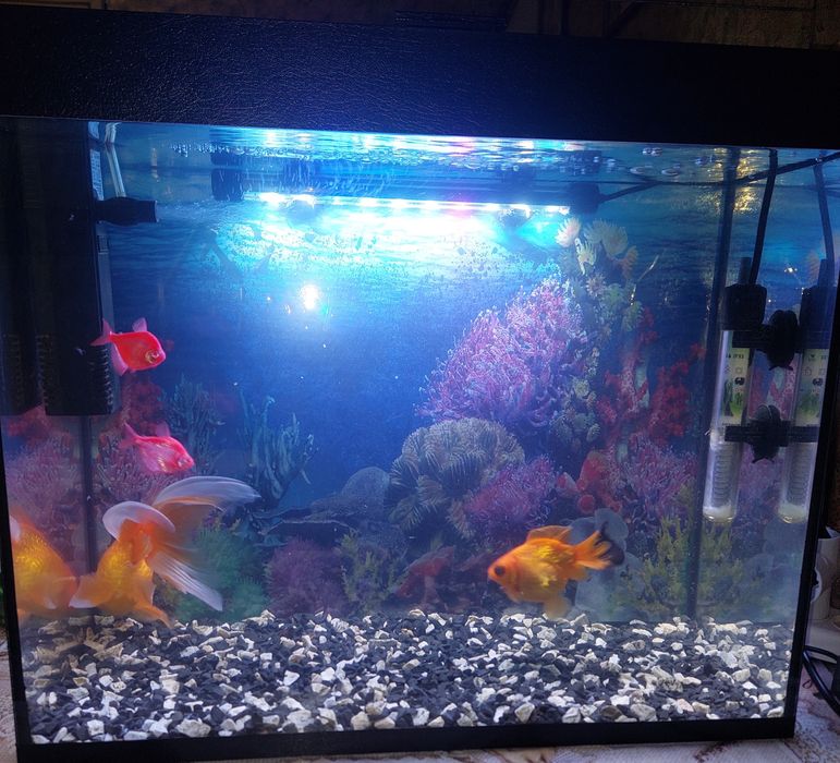 Продам Аквариум. Самовывоз