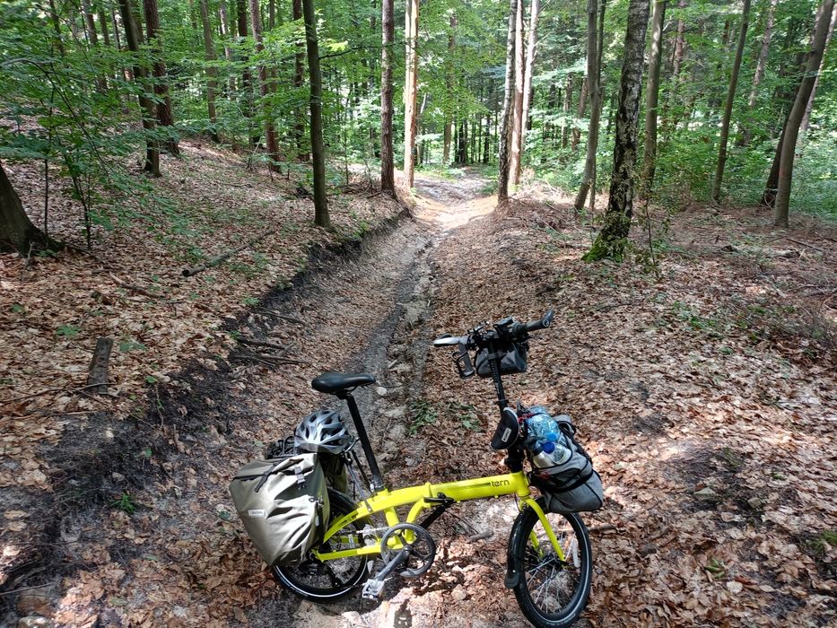 Rower składany Tern b8