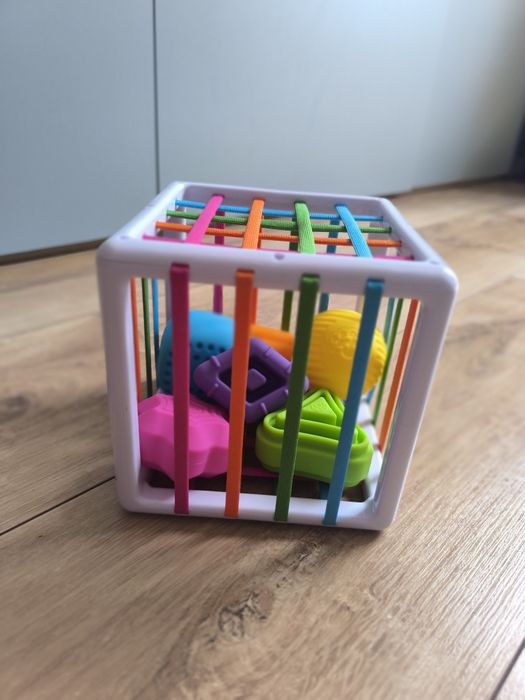 Sorter Fat Brain
