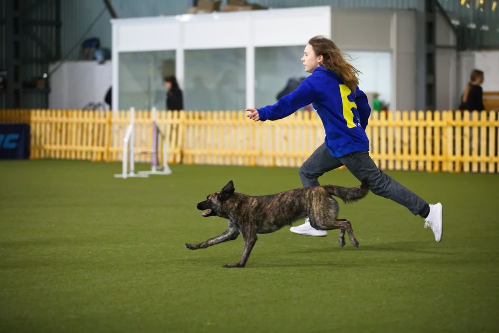 Кінолог, групові та індивідуальні заняття, вигул з дресируванням