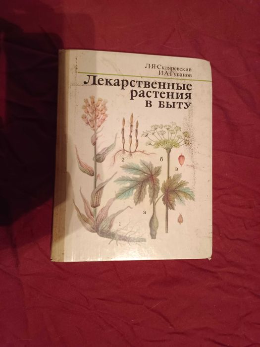 Л.Я. Скляревский, И. А. Губанов. Лекарственные растения в быту