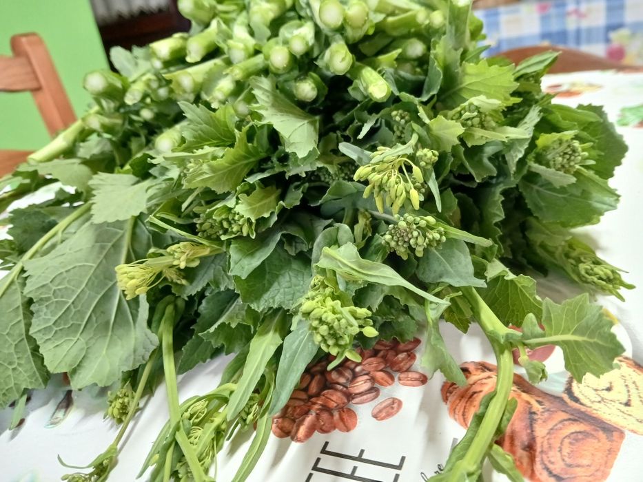 Grelos de Nabos  Biológicos NC