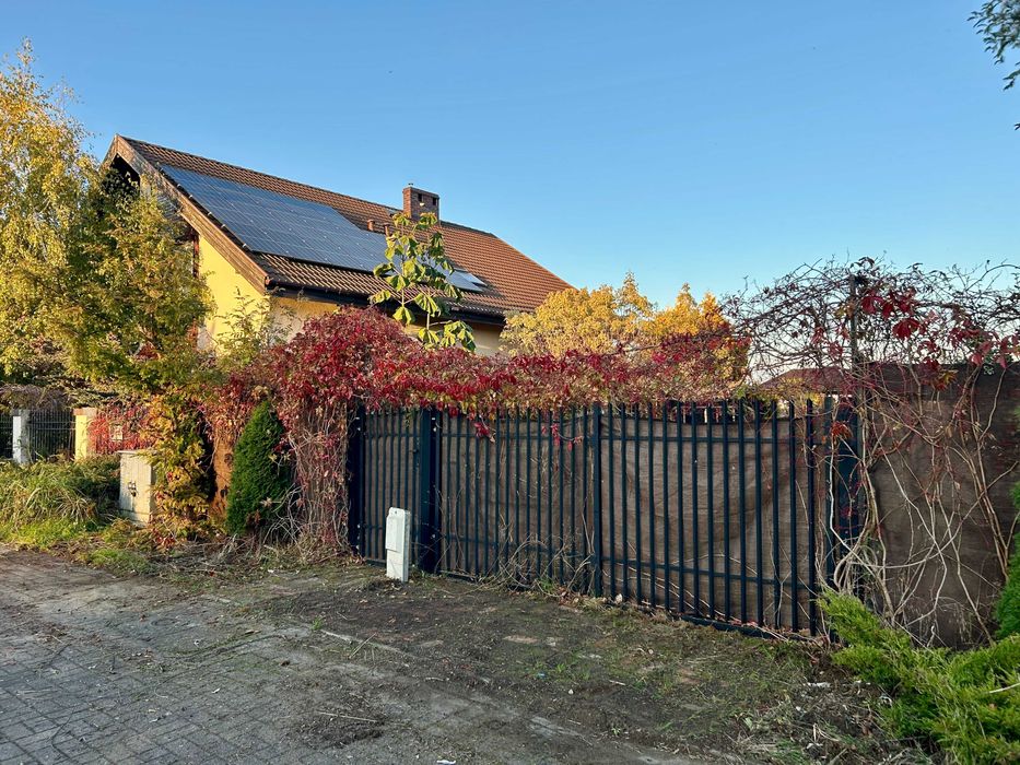 ogrodzenie z siatki z bramą, furtką i roślinami długość 20m