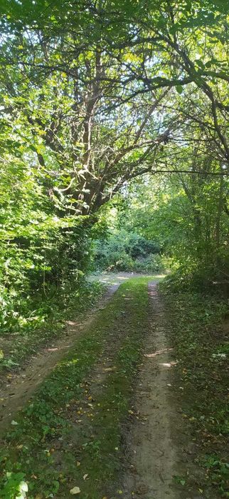 Земельна ділянка з літнім будинком в с.Павлівка