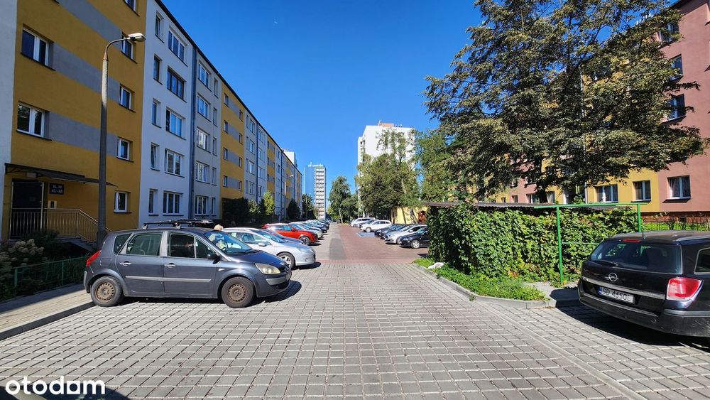 Wolne od zaraz