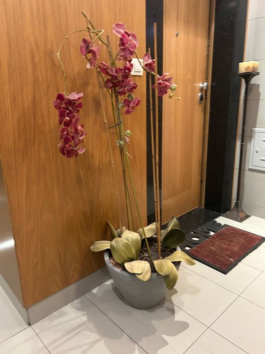 Vaso decorativo Orquídeas