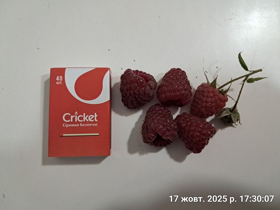 Домашнее варенье из малины