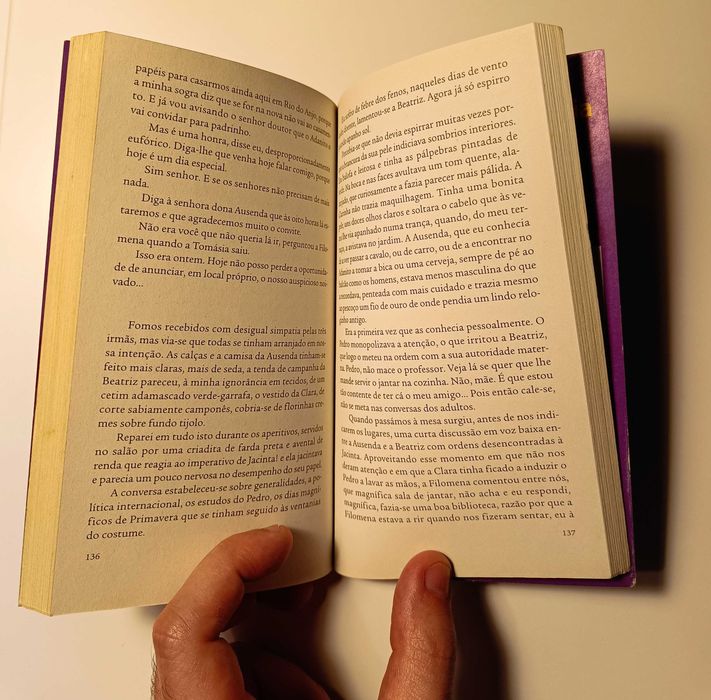 O Prenúncio das Águas - Rosa Lobato de Faria