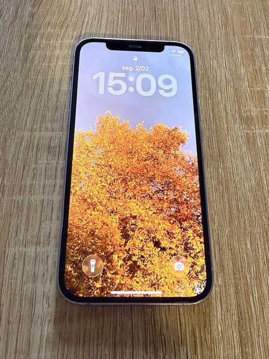 Iphone 12 128 GB roxo