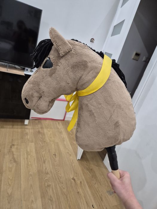 Konik hobby horse