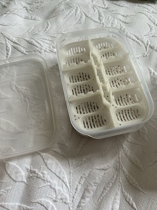 Pojemnik na jajka gekon jaszczurka