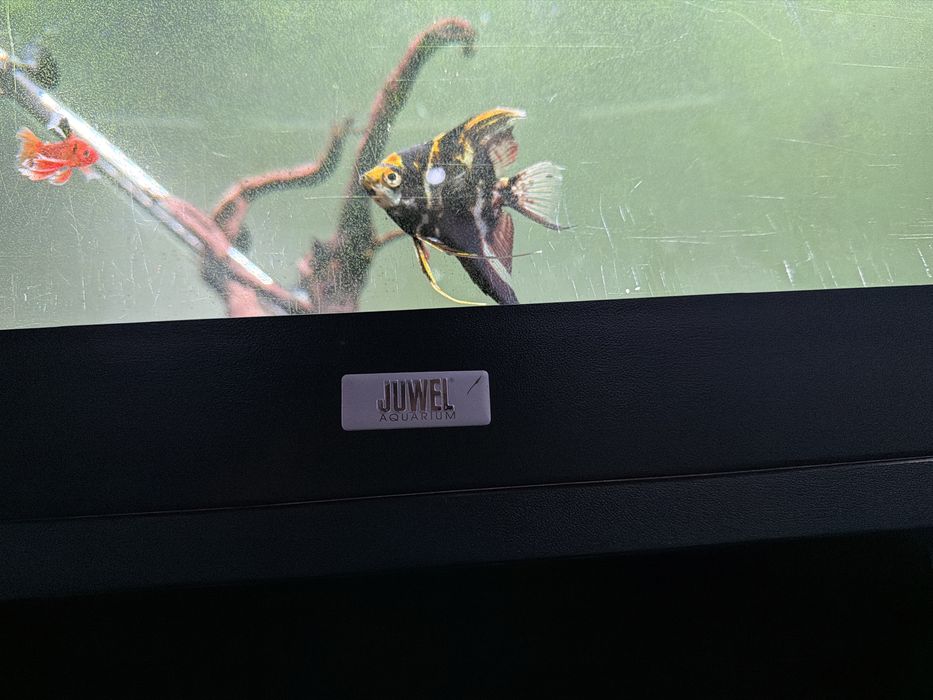 Aquario 360 Lt  + Movel