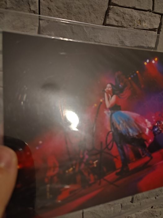 Evanescence автограф Емі Лі