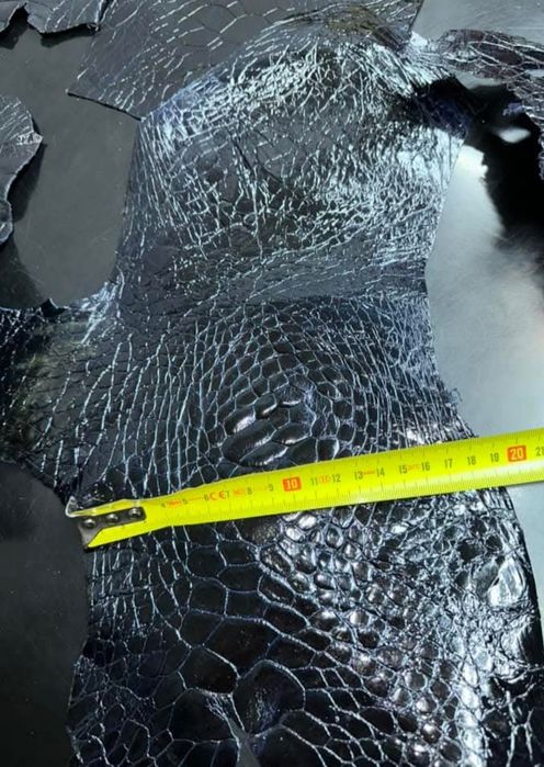 Шматки шкіри МорсьоїЇ  ЧЕРЕПАХИ