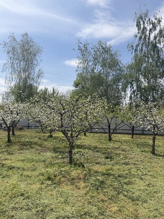 Продам бувший дитячий садок. Можна для будинку, бізнесу. 240кв м