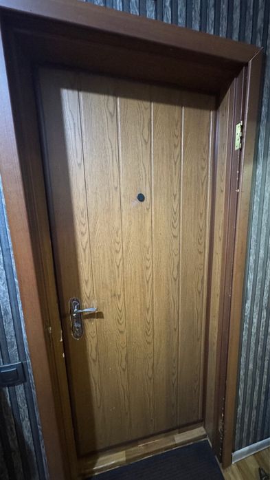 Металеві двері під фарбу