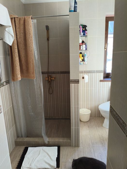 Будинок в центрі