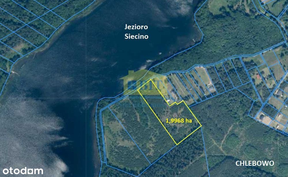 Działka 1,9968 ha nad jeziorem Siecino - Widok 2