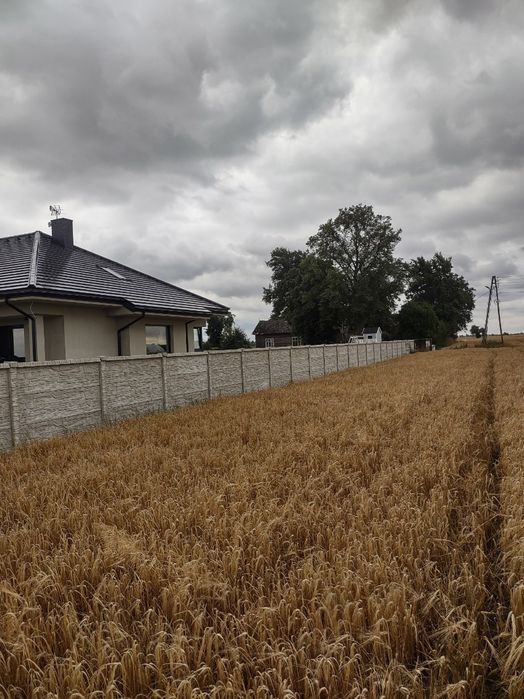 Montaż ogrodzeń betonowych,panelowych  i siatkowych