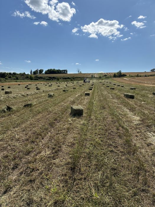Продам СЕНО В ТЮКАХ  люцерна, разнотравие, луговое, солома пшеничная