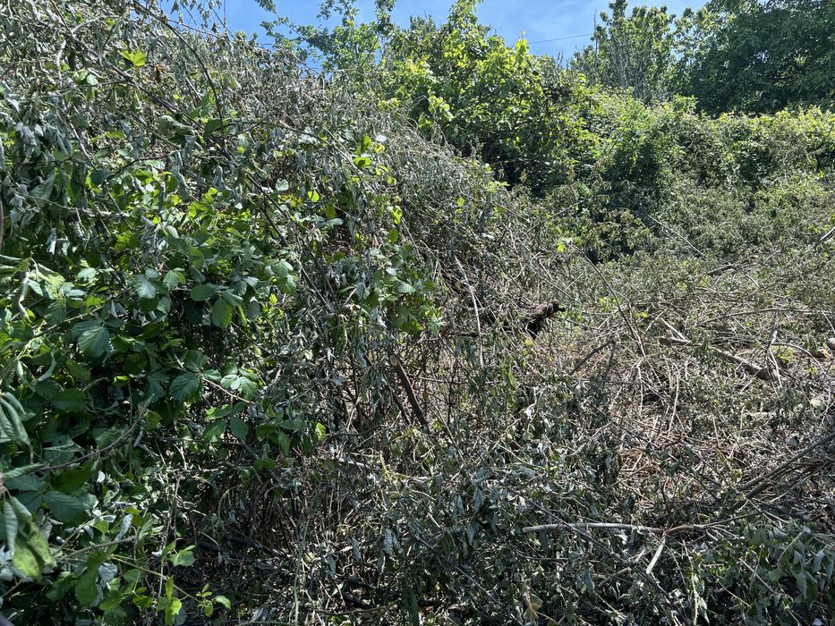 Limpeza de terrenos/jardins