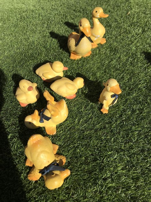 Comjunto de patos decorativos