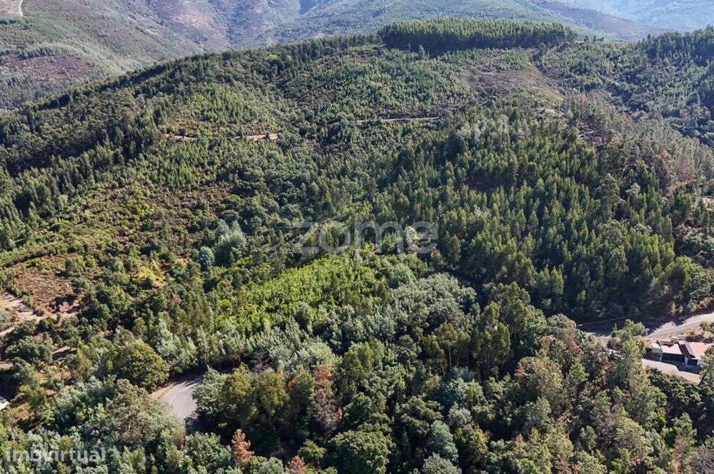 Terreno em Folques, Arganil