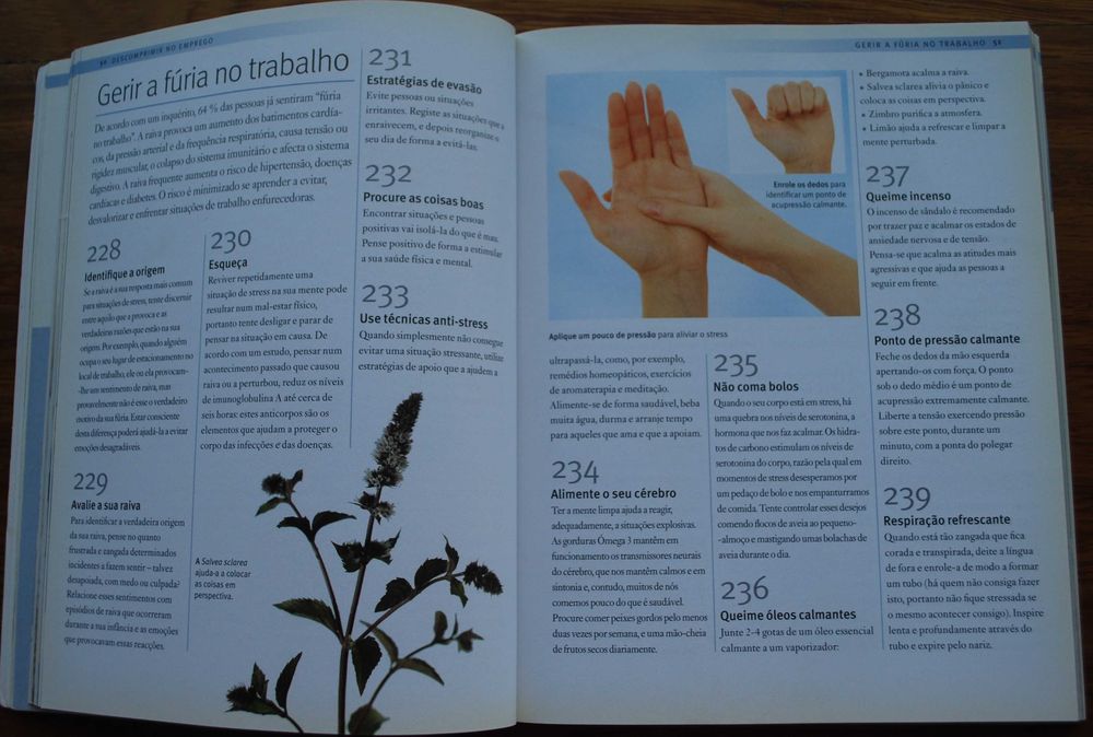 1001 Ways to Relax by Susannah Marriott64564062095618122