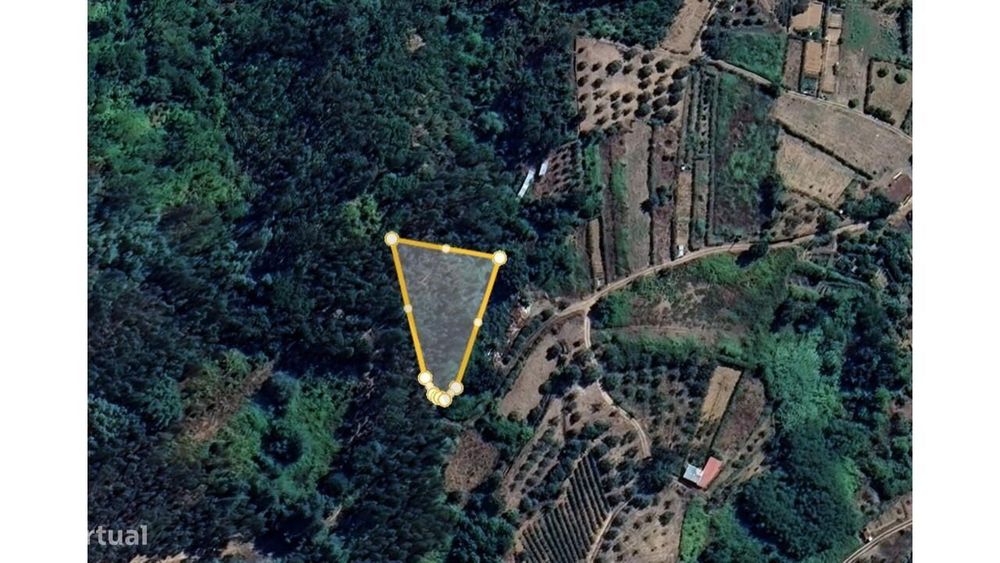Terreno Panorâmico com 4.843 m2 – Vidigueira, Ceira (Coimbra)