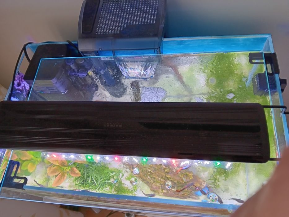Super akwarium OPTI plus szafka  Tetra