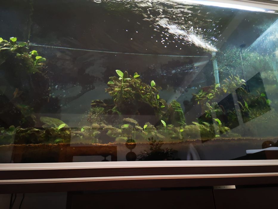 Aquário 400L de água quente completo