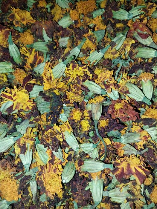 Чорнобривці, деревій.