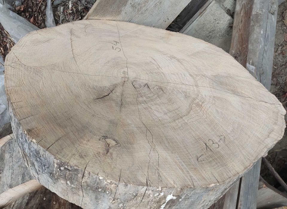 Plaster jesiona na stoliki itp